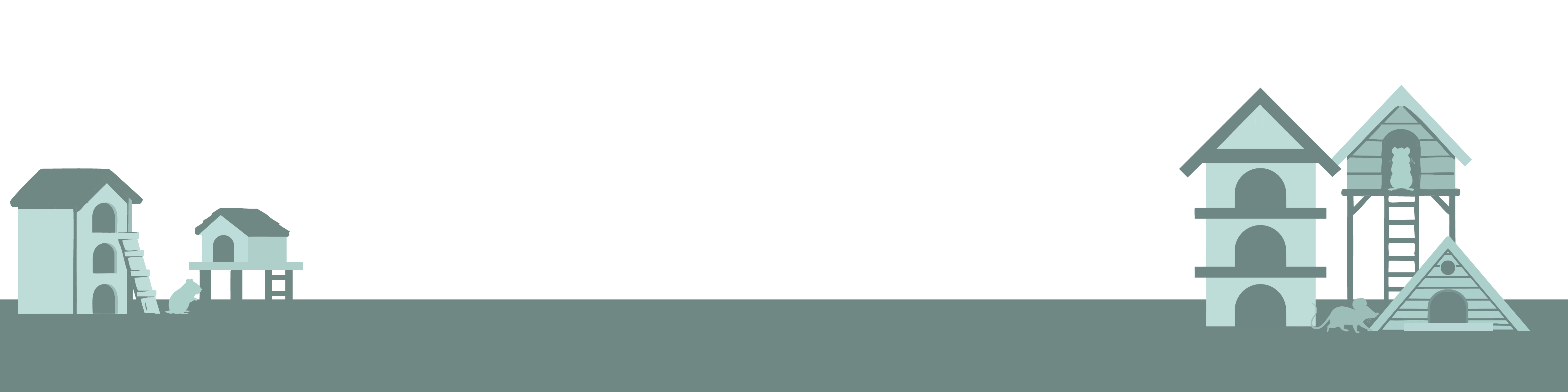 Knaagdieren producten van Bio Bedding